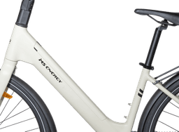 MS ENERGY eBike c30 thumbnail 2